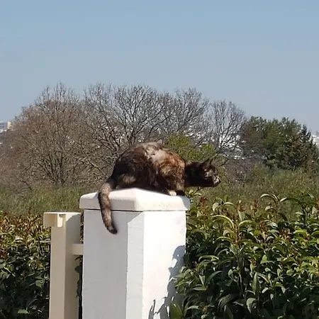 別荘 Trullo Levante Valle D'itria