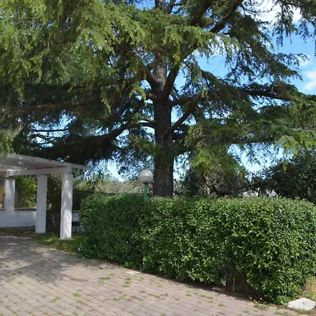 Trullo Levante Valle D'itria